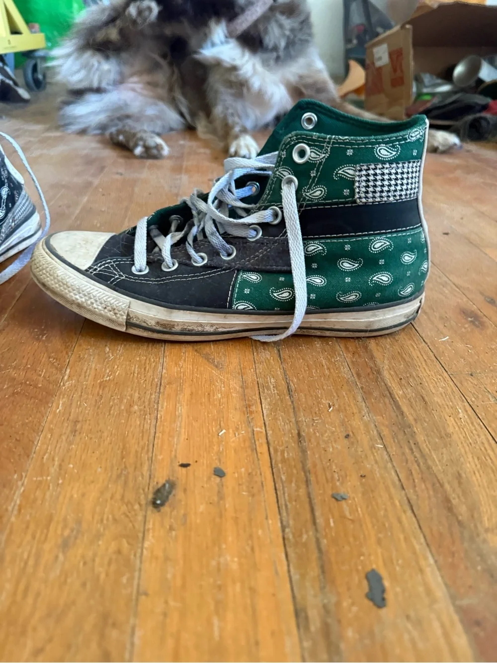 Women’s High-Top Canvas Sneaker in Green and Black - Classic Lace-Up